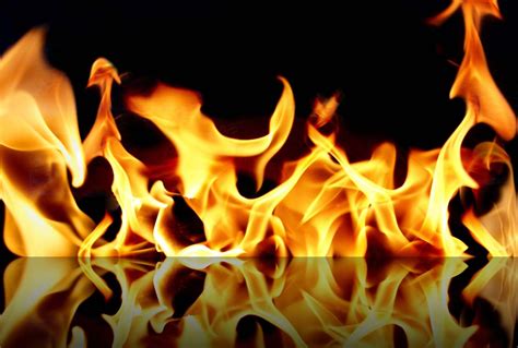 La flama - Flama es cocinar con fuego, con brasa. Una técnica que nos transporta 1 millón de años atrás, cuando las tribus de Homo Erectus descubrieron que con productos frescos y fuego se conseguía un aroma único que se …